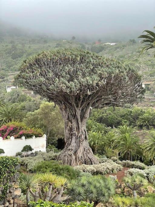 Alina'S Nest Daire San Marcos  Dış mekan fotoğraf